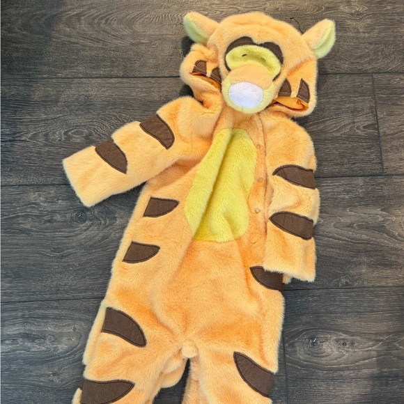 Pottery Barn Kids Orange and Brown Tiger Costume